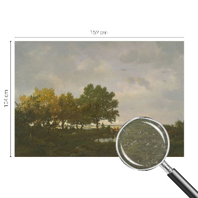 Fototapete fürs Wohnzimmer Waldlandschaft