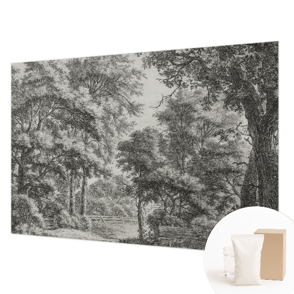Vlies-Fototapete nach Maß mit Motiv einer Waldlandschaft