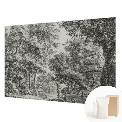 Vlies-Fototapete nach Maß mit Motiv einer Waldlandschaft