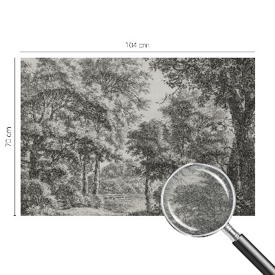 Vlies-Fototapete nach Maß mit Motiv einer Waldlandschaft