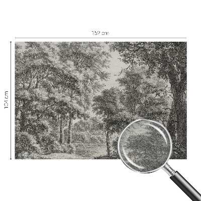 Vlies-Fototapete nach Maß Waldlandschaft