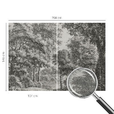 Vlies-Fototapete nach Maß mit Motiv einer Waldlandschaft
