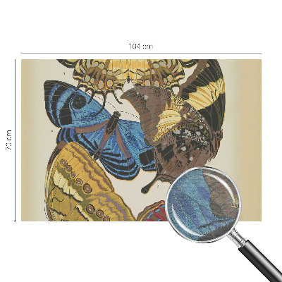 Wandtapete Schmetterlinge Inspiration