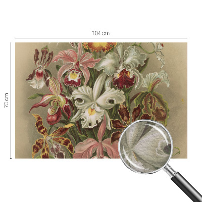 Vlies-Fototapete Florale Eleganz