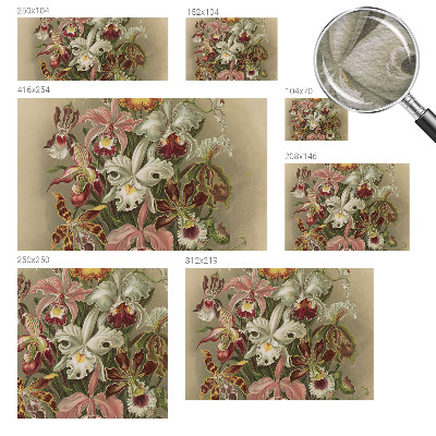 Vlies-Fototapete Florale Eleganz