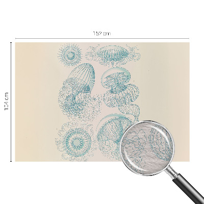 Fototapete fürs Wohnzimmer Seequallen