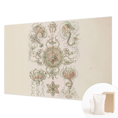 Fototapete fürs Schlafzimmer Unterwasserwelt