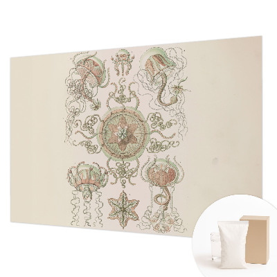 Fototapete fürs Schlafzimmer Unterwasserwelt