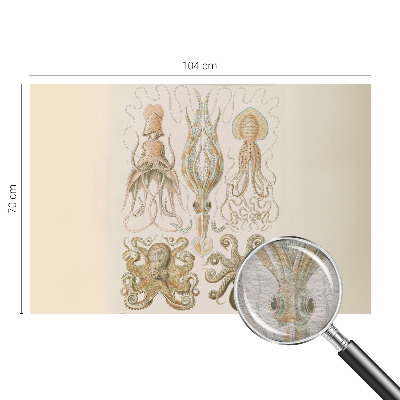 Fototapete fürs Kinderzimmer Meeresleben