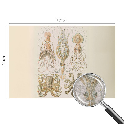 Fototapete fürs Kinderzimmer Meeresleben