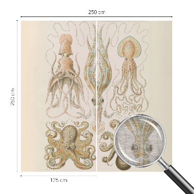 Fototapete fürs Kinderzimmer Meeresleben