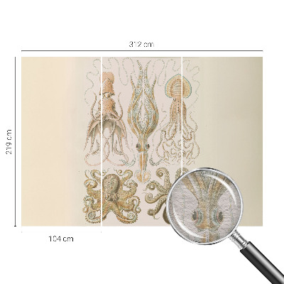 Fototapete fürs Kinderzimmer Meeresleben