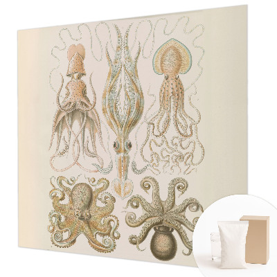 Fototapete fürs Kinderzimmer Meeresleben