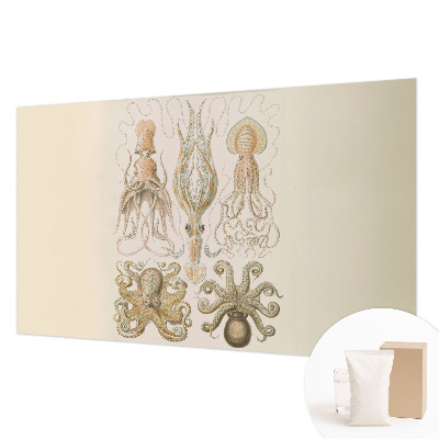 Fototapete fürs Kinderzimmer Meeresleben