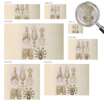 Fototapete fürs Kinderzimmer Meeresleben