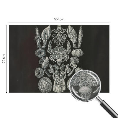 Motivtapete aus Vlies Unterwasserformen