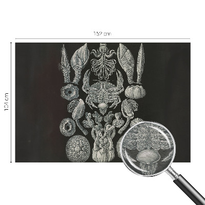 Motivtapete aus Vlies Unterwasserformen