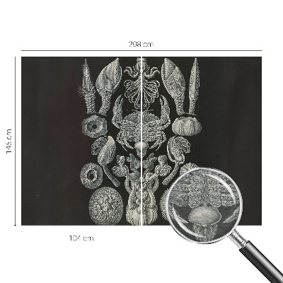 Motivtapete aus Vlies Unterwasserformen