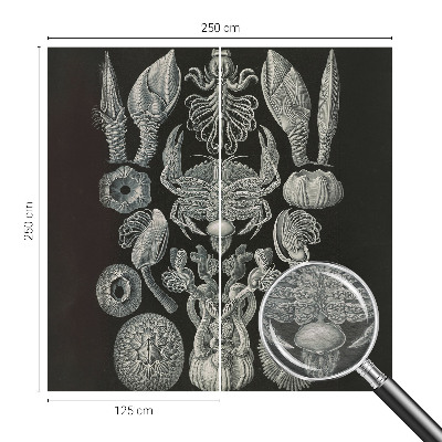 Motivtapete aus Vlies Unterwasserformen