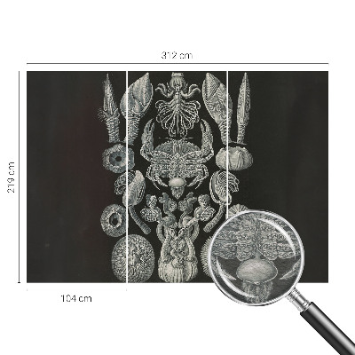 Motivtapete aus Vlies Unterwasserformen