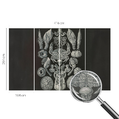 Motivtapete aus Vlies Unterwasserformen