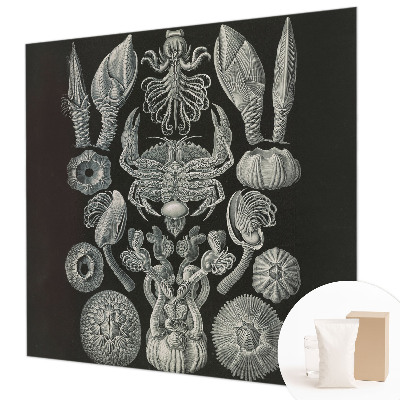 Motivtapete aus Vlies Unterwasserformen