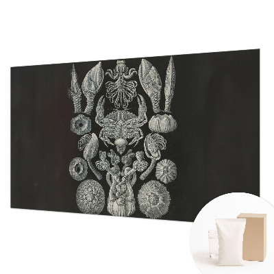 Motivtapete aus Vlies Unterwasserformen