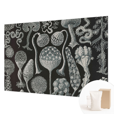 Fototapete aus Vlies Magische Pflanzen