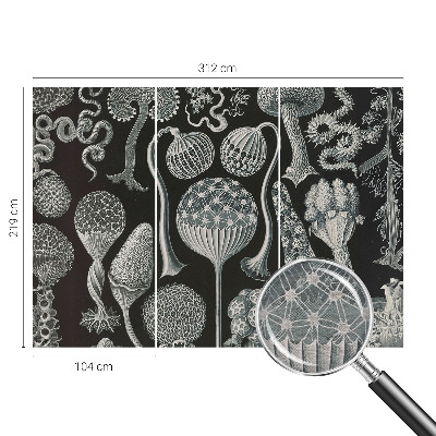 Fototapete aus Vlies Magische Pflanzen