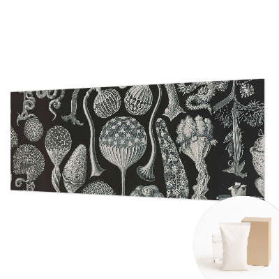 Fototapete aus Vlies Magische Pflanzen