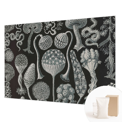 Fototapete aus Vlies Magische Pflanzen