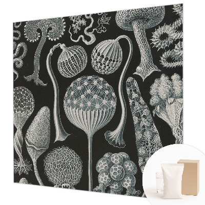 Fototapete aus Vlies Magische Pflanzen