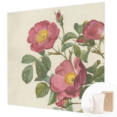 Vlies-Fototapete nach Maß mit Rosenmotiv