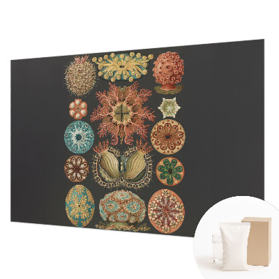 Fototapete aus Vlies mit Motiven und Farben, inspiriert vom Meer