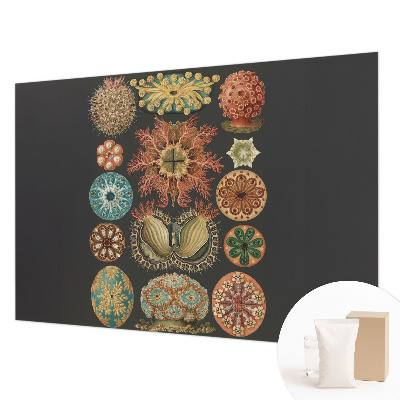 Fototapete aus Vlies mit Motiven und Farben, inspiriert vom Meer
