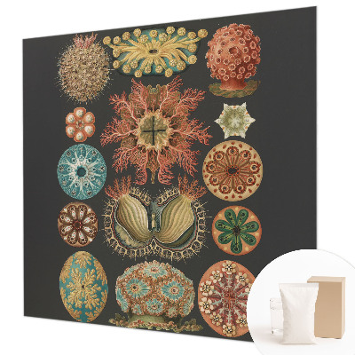 Fototapete aus Vlies Inspirationen aus dem Meer