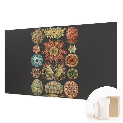 Fototapete aus Vlies mit Motiven und Farben, inspiriert vom Meer