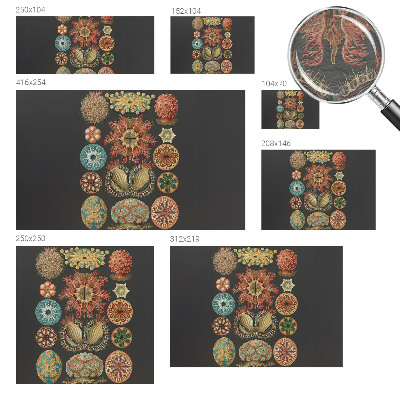 Fototapete aus Vlies mit Motiven und Farben, inspiriert vom Meer