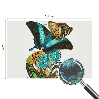 Vlies-Fototapete fürs Kinderzimmer Bunte Schmetterlinge