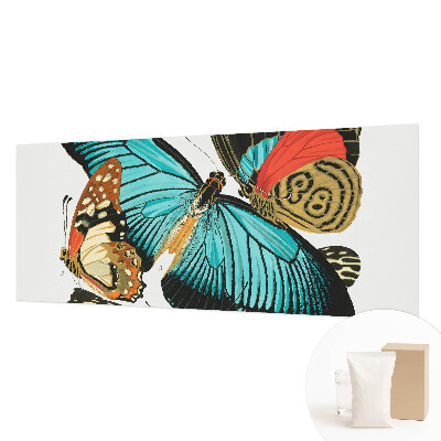 Vliestapete fürs Wohnzimmer Bunte Schmetterlinge