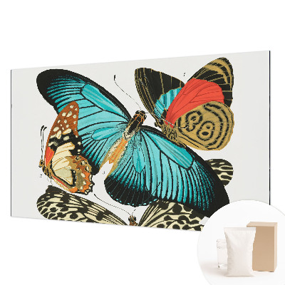 Vliestapete fürs Wohnzimmer Bunte Schmetterlinge