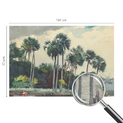 Moderne Vlies-Fototapete mit exotischem Palmenmotiv
