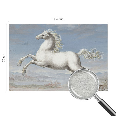 Bildtapete Pferde im Sprung