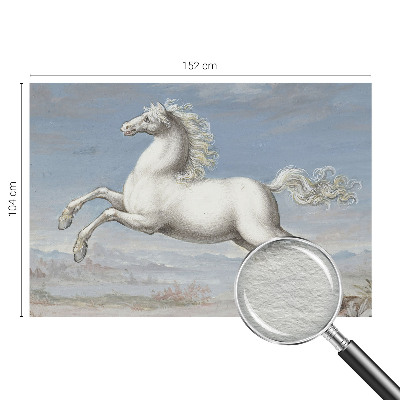 Bildtapete Pferde im Sprung