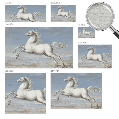 Bildtapete Pferde im Sprung