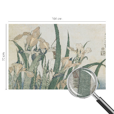 Bedruckte Vlies-Fototapete Zarte Schwertlilien