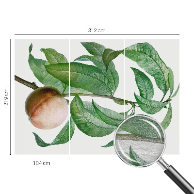 Fototapete nach Maß Reifer Pfirsich