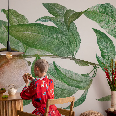 Fototapete nach Maß Reifer Pfirsich