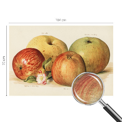 Bedruckte Vlies-Fototapete mit Motiv Apfelblüten