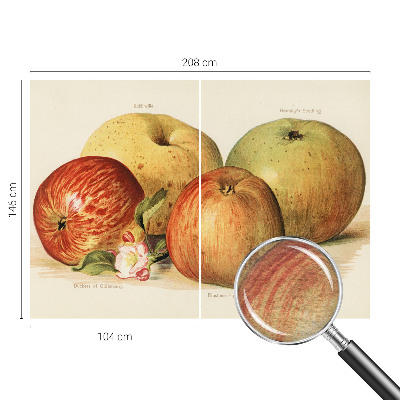 Bedruckte Vlies-Fototapete mit Motiv Apfelblüten